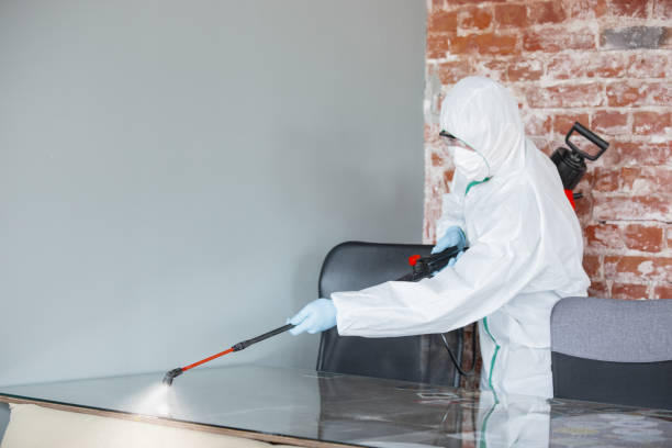 Best Mold Damage Restoration  in Sullivan, IL